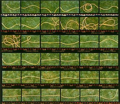 Untitled (Hose)