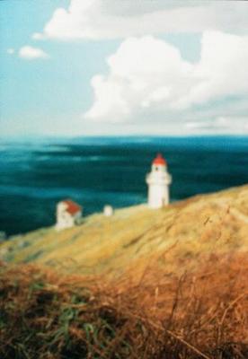 Dunedin (Landscape)