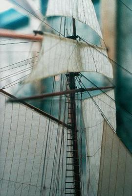 Auckland (Model)
