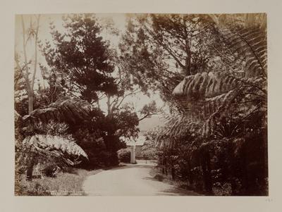 Gardens