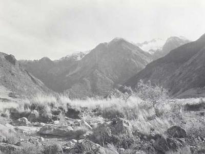 Gully in the Saint Arnaud Range, near the ACC House