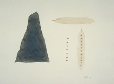 Seeds With Shard