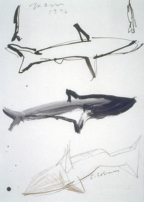 Sharks