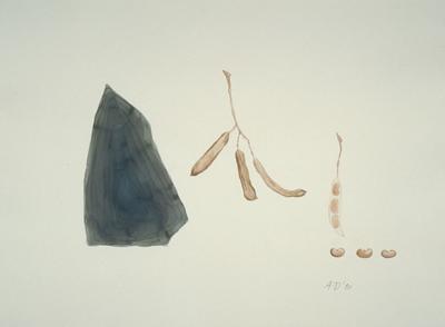 Seeds With Shard