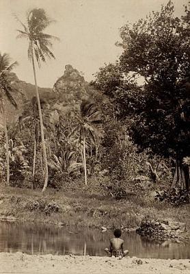 Pacific Islanders