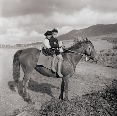 Opo: The Hokianga Dolphin (#1)