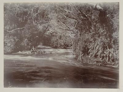 Streams