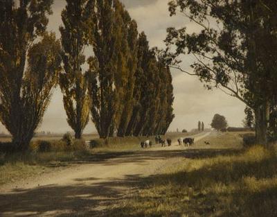 Summer day in Canterbury, near Winchester