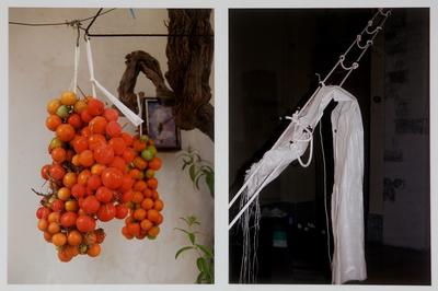 Pugliese Suspension / post-performance object