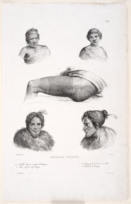 Nouvelle-Zélande, 1.2. Vieille Femme et esclave de Wangari, 3. Pako, Chef de Cap. Reinga, 4. Tatouage de la Cuisse de Pako, 5. Naturel de Reinga, [New Zealand 1.2. Old Woman and slave of Whangarei, 3. Pako, Chief of Cape Reinga, 4. Tattoo on Pako’s thigh,