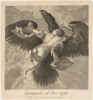 Ganymede abducted by Jupiter