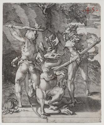 Hydra