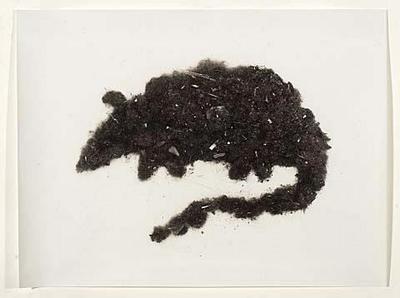 Rats (animals)