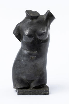 Torso