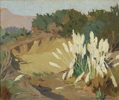 Toetoe and Gorse, Old West Coast Road