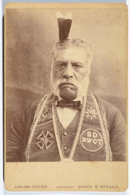 Mutton-chop whiskers