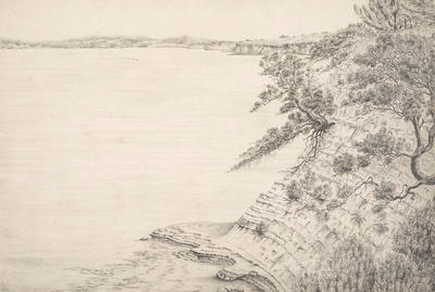 Eastern Buckland's Beach Cliffs and Pohutukawas