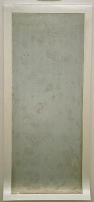 Bacteria