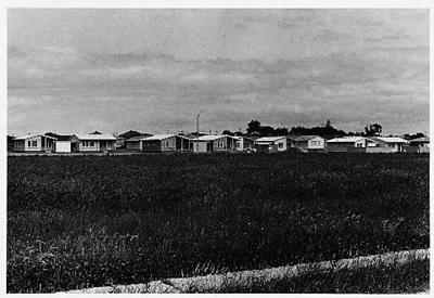 Suburban landscapes