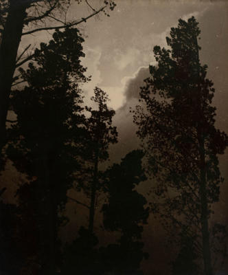 Silhouettes