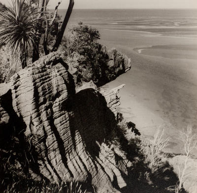 (Out crop of rocks with cabbage tree and view of beach)