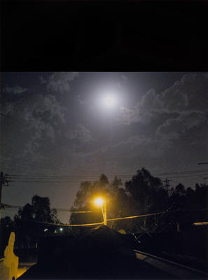 Amid it All: Black reflection