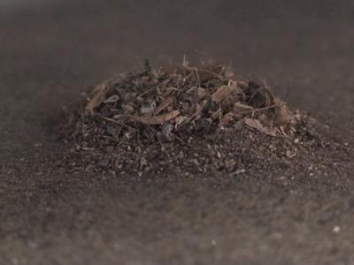 Pile (Dust)