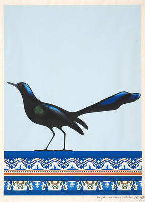 Grackle, Veracruz