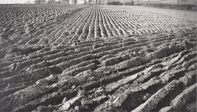 Haystacks