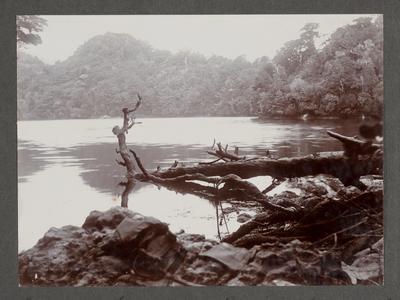 Coves
