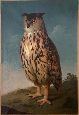 Eagles
