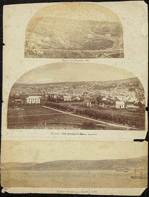 Dunedin Scenes