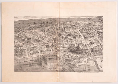 Dunedin 1875 from a Woodcut by S. Calvert in 'Historical Maps of New Zealand'