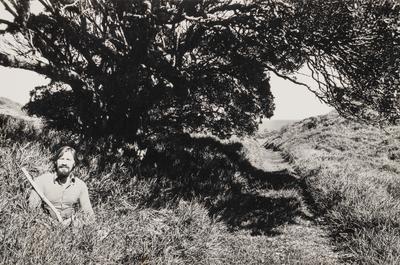 Don Binney Archive
