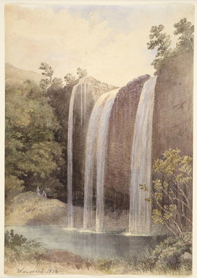 Whangarei Falls