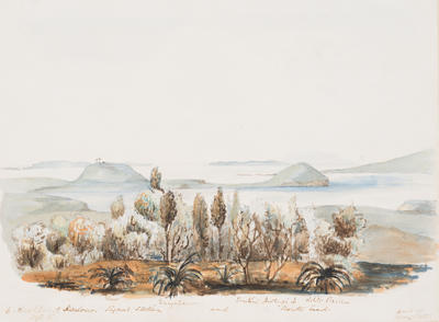 Auckland Harbour: From the Vicinity of Saint John's College