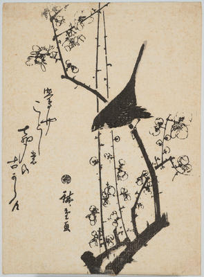 Warbler on Red Plum Branch