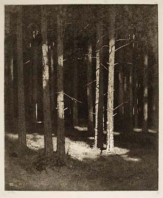 In The Forest