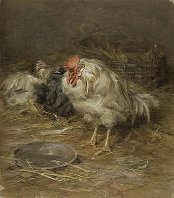Old Age