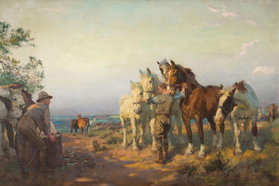 The Evening Camp