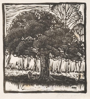 Tree Study