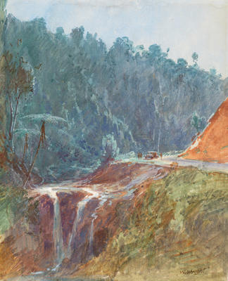 Bush road by stream