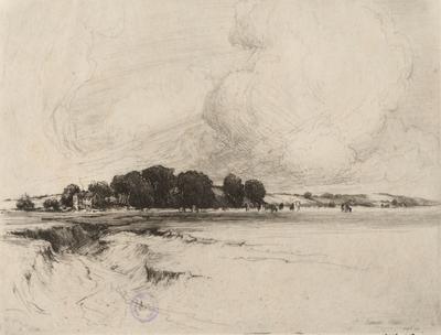 Landscape (Lancaster Marsh)
