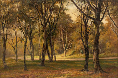 Landscape in Cornwall Park