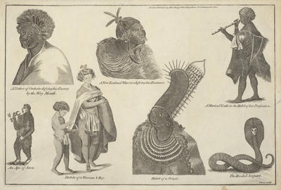 Seven Pacific Studies