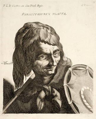 Paracoussi Rex Plattae