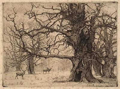 Epping Forest
