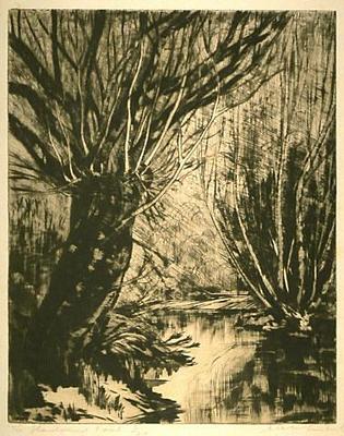 The Shadowed Pool
