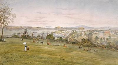 Auckland from the Domain