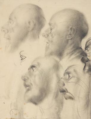 Study: Five Heads